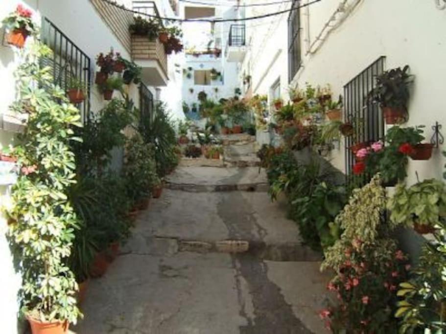 Boutique Style Apartment In Velez De Benaudalla - Near Salobrena 외부 사진